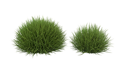 Two green spherical tufts of grass isolated on transparent background