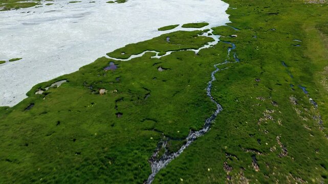 Melting Glacier River Through Green Meadows In Kyrgyzstan. Aerial Drone Shot
