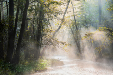 Mglisty poranek nad rzeką Łyną na Warmii.
