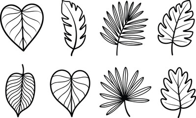 Fototapeta premium Six Different Types of Leaves in Black and White Line