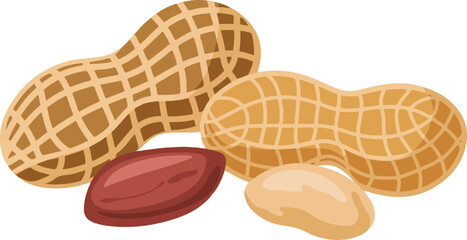 Two peanuts in shell with one shelled peanut and one peanut kernel, isolated on transparent background