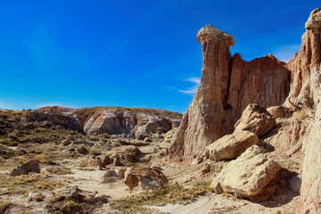 Fototapeta premium Toadstool Hoodoo Rock Formation at the Badlands, Gooseberry Badlands Recreation Area in Wyoming in Autumn.