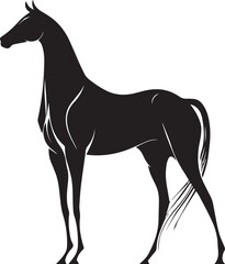 Obraz premium Akhal-Teke Horse Vector Silhouette Black Isolated on White Background