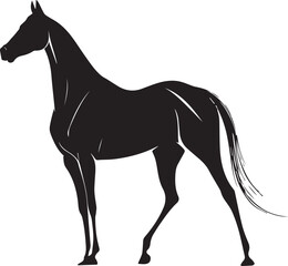 Akhal-Teke Horse Vector Silhouette Black Isolated on White Background