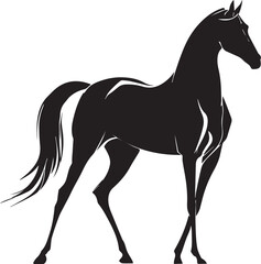 Akhal-Teke Horse Vector Silhouette Black Isolated on White Background