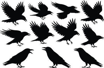 Obraz premium Raven and crow flying silhouette collection black bird wings wildlife gothic illustration set design