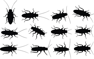 Cockroach silhouettes set, insect pest collection, crawling bug poses, entomology concept, black vector illustration isolated © astroDev