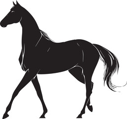 Akhal-Teke Horse Vector Silhouette Black Isolated on White Background