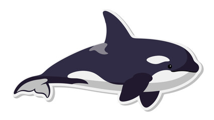 Cute Cartoon Orca Whale Illustration © landong