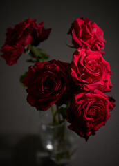 red roses bouquet in low key