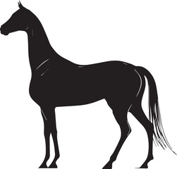 Akhal-Teke Horse Vector Silhouette Black Isolated on White Background