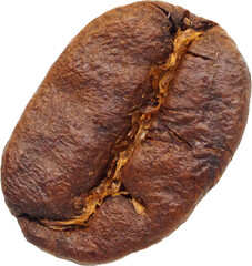 coffee bean isolated on white background