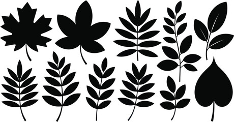 Collection of black silhouette vector shapes representing various botanical maple and fern leaves for graphic design use.