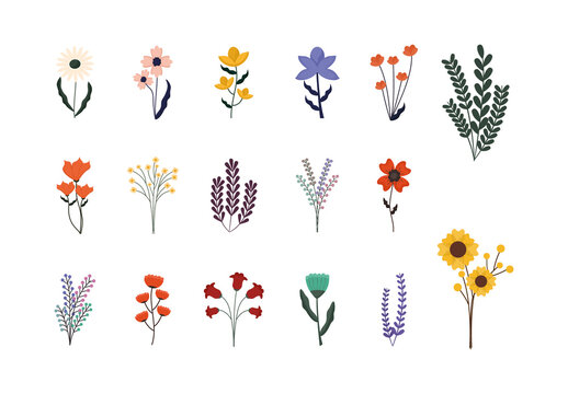 Colorful Flower Plant Botanical Illustration Set