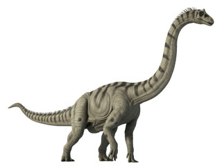 Dinosaur, isolated on transparent background