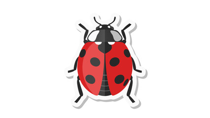 Obraz premium ladybug on white background