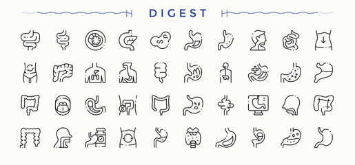 Digestion icon set. Related to immunity, anatomy, organ, gastric, digestive, digest and more. Digestive icon set. Collection of simple line web icons. Vector artwork and illustration.