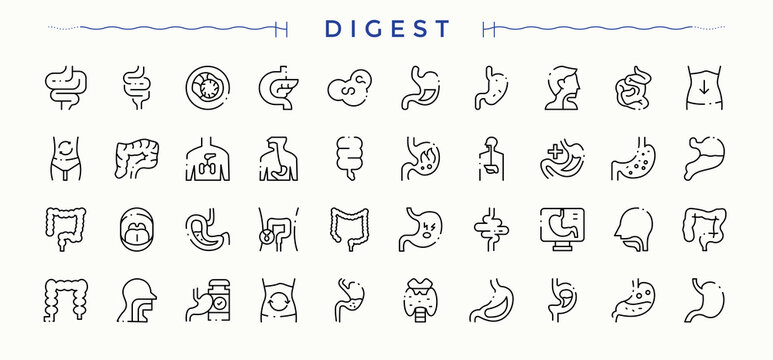 Digestion icon set. Related to immunity, anatomy, organ, gastric, digestive, digest and more. Digestive icon set. Collection of simple line web icons. Vector artwork and illustration.