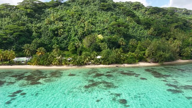 French Polynesia Island, Drone Shot of Beach Under Green Hills, Turquoise Lagoon and Corals
