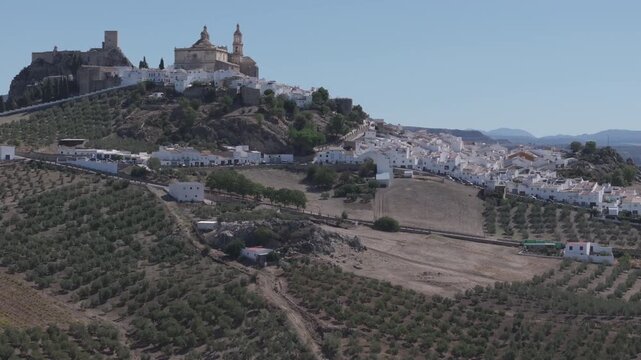 Aerial drone shot panorama wide view of the white town village of Olvera in Andalusia, Spain, Europe. Traditional castle and church on hill, and olive trees. Drone orbiting