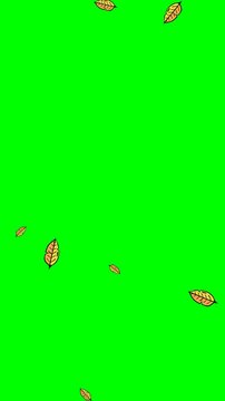 green screen video animation of plants and falling leaves
