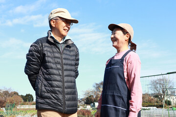 家庭菜園　シニア夫婦