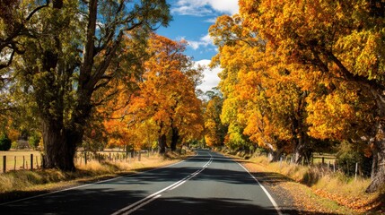 Obraz premium Scenic Autumn Road with Vibrant Foliage: A Captivating Landscape Photography for Travel and Seasonal Themes