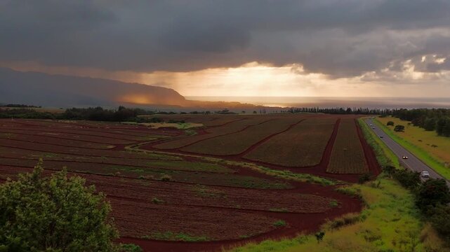 Aerial View of Pineapple Fields at Sunset on Oahu Hawaii