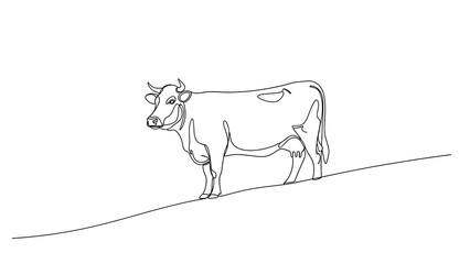 A minimalist continuous line art illustration showing a single cow standing on a gentle slope