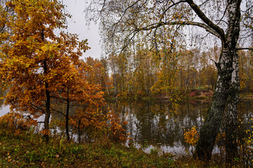 Obraz premium Autumn landscape with colorful trees reflected in water. Seasonal fall scenery with yellow and orange foliage by lake. Nature background for tranquil moment.