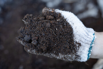 Hand in protective glove holding organic worm compost for soil restoration