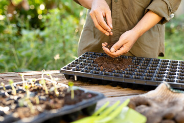 Checking soil substrate quality before filling nursery tray