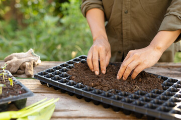 Spreading organic soil mix into seedling nursery tray for cultivation