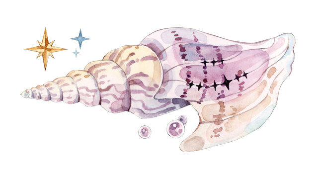 Whimsical Watercolor Conch Shell with Sparkling Stars