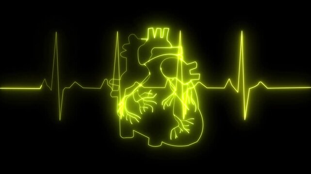 Digital human heart with digital line of heart pulse. Creative stylized colorful heart cardiogram with human heart on black background. Health, cardi
