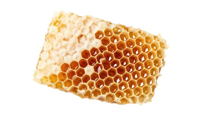 Honeycomb isolated PNG on transparent background, natural beeswax structure with honey for healthy food and beekeeping concepts