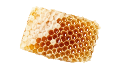 Honeycomb isolated PNG on transparent background, natural beeswax structure with honey for healthy food and beekeeping concepts