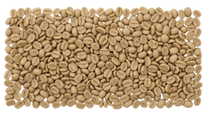 Unroasted green coffee beans isolated PNG, raw coffee beans for roasting on transparent background, healthy beverage ingredient