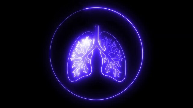  This is involved in respiration it purifies blood. Human respiratory system, lungs, Glowing neon line lungs icon isolated on black background.