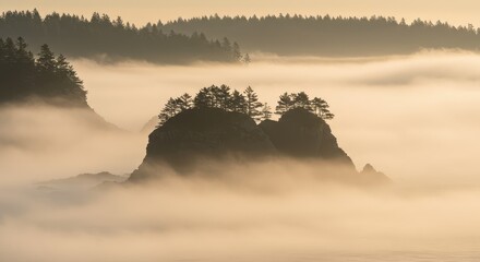 Misty coastal landscape at sunrise