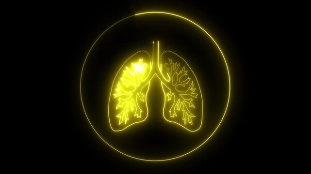  This is involved in respiration it purifies blood. Human respiratory system, lungs, Glowing neon line lungs icon isolated on black background.