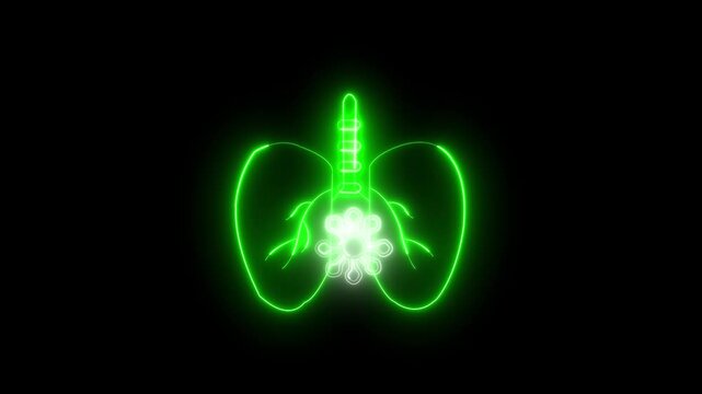 Vibrant Neon Digital Marketing Icon Animation &mdash; Megaphone, Video, and Target Symbol on Dark Background.  Glowing neon line lungs icon isolated on black background.
