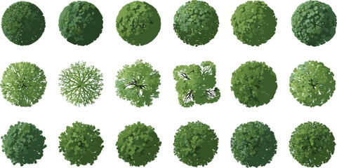 Stylized aerial tree canopy set, top view forest crowns, varied shapes and textures, isolated on white background for landscape design, mapping, ecology, and visuals © Arifa