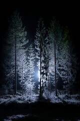 Moonlit winter forest with snow-covered trees and frosty underbrush