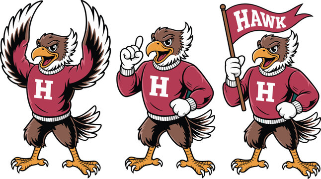 Hawk mascot character set wearing varsity sweater cheering and holding flag for sports team identity school spirit college athletics branding graphic illustration for apparel and fan merchandise