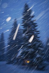 Snowy forest with evergreen trees on a winter night