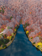 Aerial view of the lake in Topuk Plateau National Park, surrounded by a tranquil forest landscape on the Domanic - Inegol road