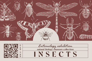Natural biology banner with insects
