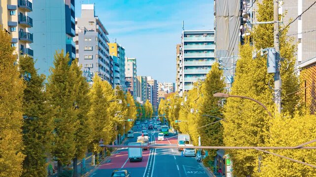 A timelapse of traffic jam at the yellow gingko street in Tokyo panning