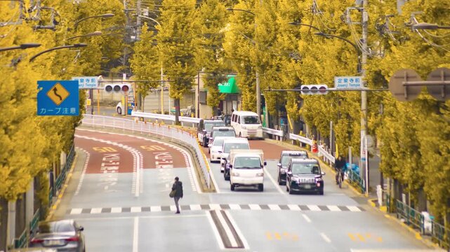 A timelapse of traffic jam at the yellow gingko street in Tokyo telephoto shot